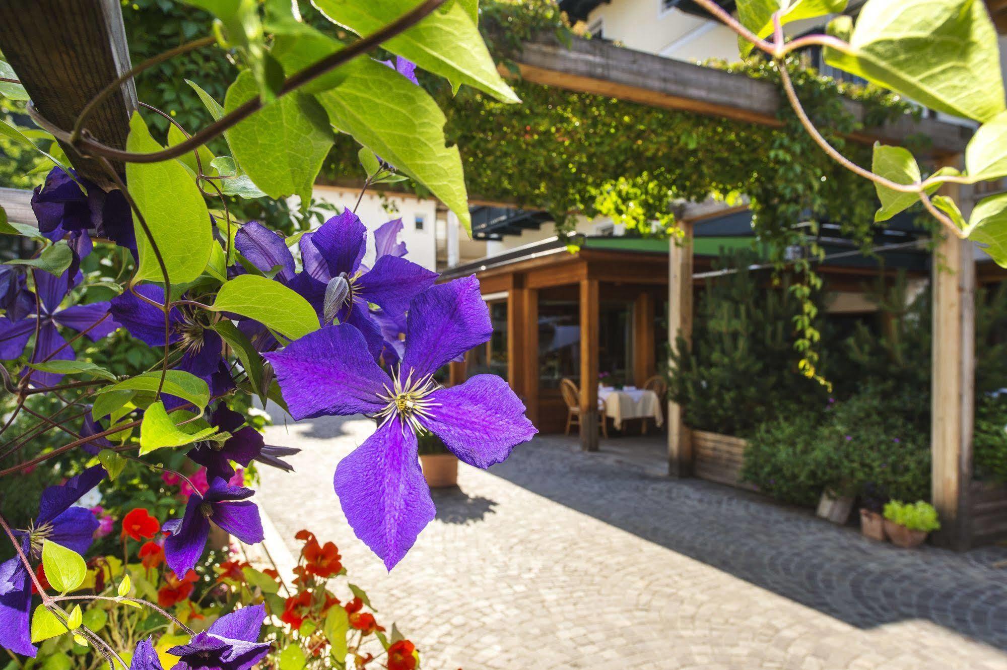 Hotel Drumlerhof Campo Tures Eksteriør billede